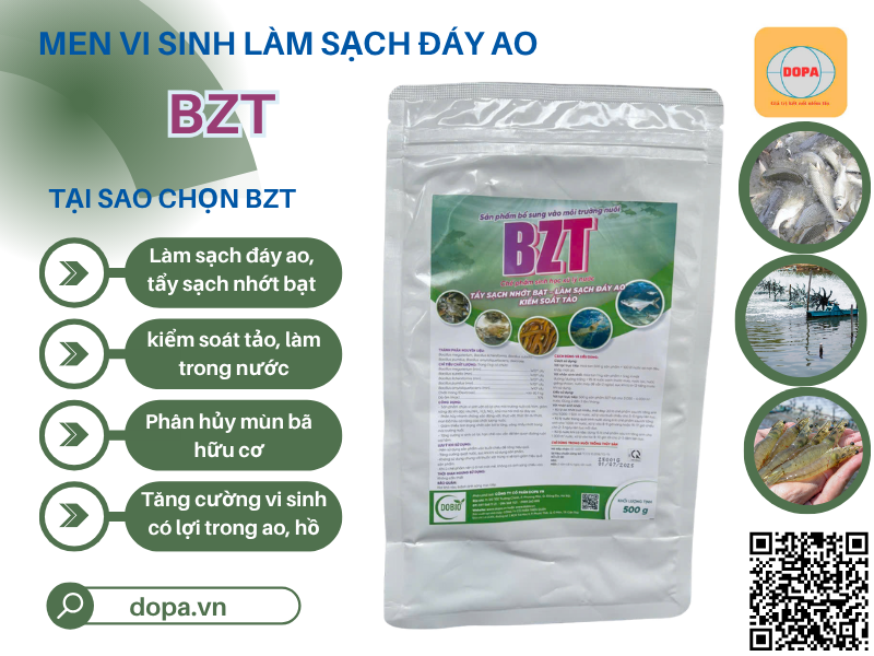 Chế phẩm sinh học thủy sản giúp xử lý nước, cải thiện môi trường ao nuôi tôm cá, mang lại hiệu quả bền vững cho người nông dân